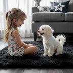 Black Rug for Bedroom, Small Area Rugs 3x5, Non-Shedding Indoor Shaggy Rug for Living Room Home Decor(3 x 5, Black)
