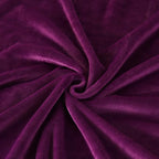 TASTHROW Large Flannel Fleece Throw Blanket, 60×80 Inch - Cozy Lightweight Thick Blanket - All Seasons Suitable for Women, Men and Kids (Purple)