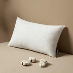MIULEE Pillow Insert 22x32 Inch, Decorative Rectangle Throw Pillow Inserts, Premium Fluffy Pillow Forms Sham Stuffer for Sofa Couch Living Room