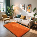 3x5 Area Rug for Bedroom, Orange Fluffy Shag Rug Small Rug Plush Carpet