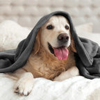 BEDELITE Fleece Blanket Charcoal Grey Throw Blankets for Couch & Bed, Luxury Plush Cozy Fuzzy 50x60 inches, Super Soft Warm Lightweight Throw for Travel Camping