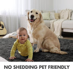 6x9 Ft Large Shag Rugs for Living Room Decor, Ultra Soft Fluffy Furry Area Rugs for Bedroom Indoor Floor, Aesthetic Carpet for Kids Home (Grey)