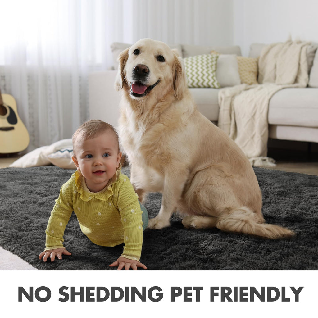 4x6 Ft Shag Rugs for Bedroom Living Room, Ultra Soft Fluffy Furry Area Rugs for Indoor Floor, Aesthetic Carpet for Kids Home Decor (Grey)