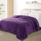 Exclusivo Mezcla Queen Size Flannel Fleece Blanket, Super Soft and Warm Lightweight Checkered Pattern Blankets for All Seasons, 90x90 Inches, Purple