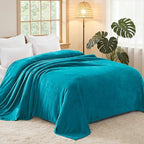 Exclusivo Mezcla Fleece Blankets Queen Size for Bed, Super Soft and Warm, All Season, Cozy, Plush, Lightweight, 90x90 Inches, Teal