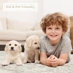 Small Washable Rugs 4x6 Area Rugs for Living Room,Bedroom,Kids Room,Nursery