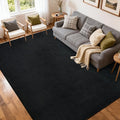 FinRèc 5x7 Washable Area Rugs for Bedroom Living Room, Low Pile Thin Rug Solid Color, Non-Slip Carpet Indoor for Home Decor (Pure Black)