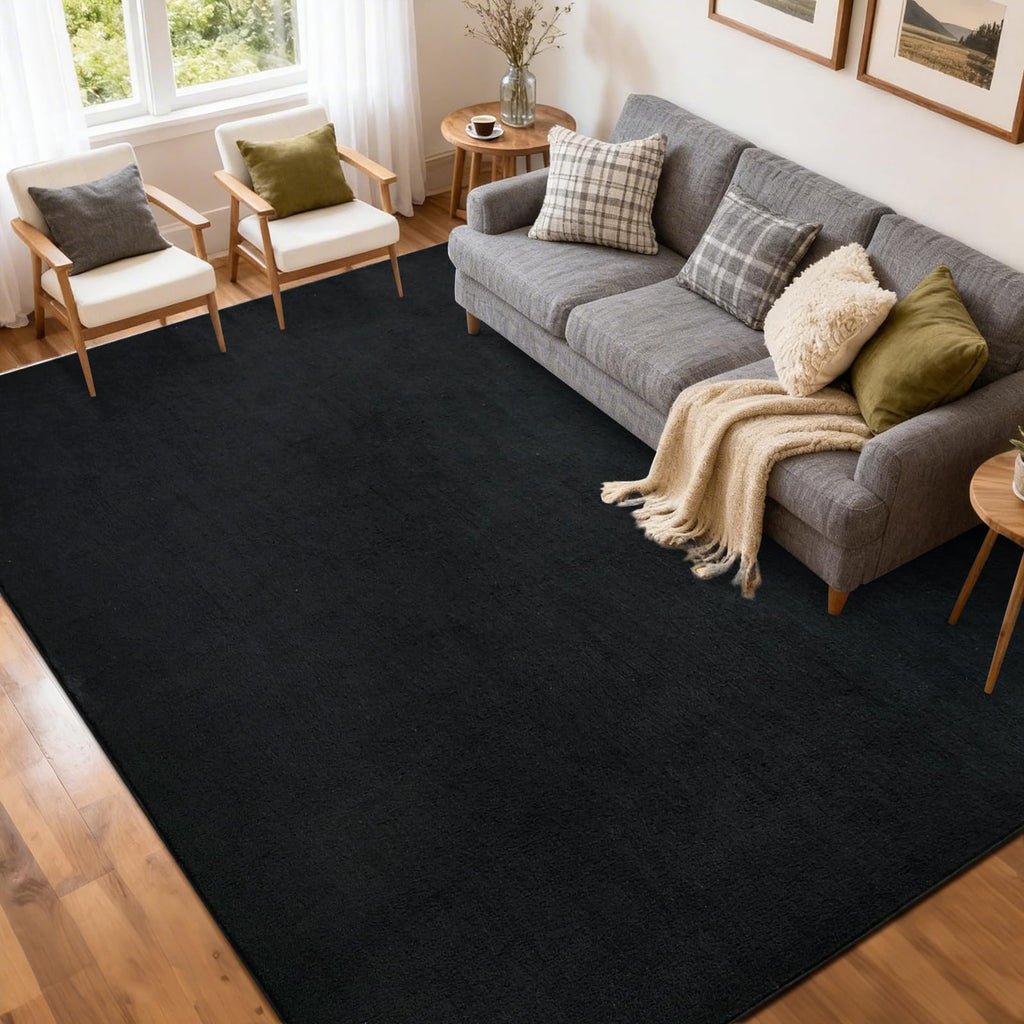 5x7 Pure Black Area Rug Non-Slip Washable Soft Thin for Living Room Bedroom
