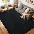 5x7 Pure Black Area Rug Non-Slip Washable Soft Thin for Living Room Bedroom