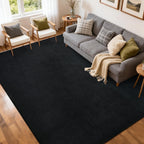 5x7 Pure Black Area Rug Non-Slip Washable Soft Thin for Living Room Bedroom