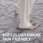 5x7 Ft Shag Area Rug for Bedroom, Ultra Soft Fluffy Furry Rugs for Living Room Indoor Floor, Aesthetic Carpet for Kids Home Decor (Light Grey)