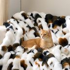 Cozy Bliss Cow Print Faux Fur Throw Blanket for Couch, Fuzzy Soft Plush Thick Bubble Blanket for Sofa Bedroom Living Room, 50x60 Inches