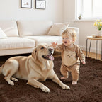 2x6 Fluffy Shag Area Rugs for Living Room Bedroom: Soft Plush Carpet Brown
