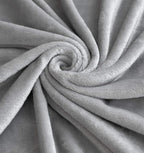 TASTHROW Large Flannel Fleece Throw Blanket, 50×70 Inch - Cozy Lightweight Thick Blanket - All Seasons Suitable for Women, Men and Kids (Two Pack, Light Grey)