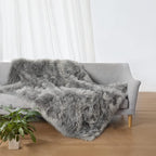 Ciicool Fluffy Area Rug, 4x6 ft Grey Faux Fur Rug for Bedroom Living Room