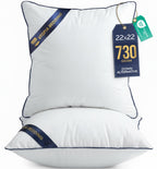 Utopia Bedding 22x22 Throw Pillow Inserts, Decorative Pillows, Pack of 2