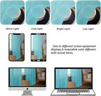 Chyhomenyc Aqua Sheer Curtains 96 inches Long 2 Panels, Light Filtering Soft Airy Solid Elegant Voile Window Treatment Drapes for Bedroom Living Room, 42Wx96L, 8FT L