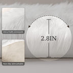 Ashler Faux Fur Rug, Black Area Rugs, Fluffy Sheepskin Fur Rug, Fuzzy Ultra Soft 2 x 3 Ft Rugs, Machine Washable Shag Rug, Nursery Throw Rugs for Bed, Living, Kids Room