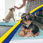 Muddy Mat® | Super Absorbent Door Mat Indoor, Microfiber Quick Dry Chenille Entryway Rug, Non-Slip Front Door Mat, Indoor Mats for Entryway, Machine Washable Pet Rug, Seafoam Green 48"x72"