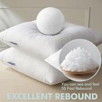 MIULEE Set of 2 Throw Pillow Inserts 22x22 Inches, Non-Woven Decorative Pillow Inserts for Living Room