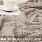 Exclusivo Mezcla Fleece Bed Blanket Twin Size, Super Soft and Warm Blankets for Couch, Sofa and Bed Waffle Textured, Cozy, Fuzzy and Lightweight (Tan, 90x66 Inches)
