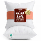 Utopia Bedding 22x22 Pillow Inserts, White Throw Pillows for Couch, 2 Pack