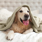 BEDELITE Fleece Blanket Twin Size Oat Linen Throw Blankets for Couch & Bed, Luxury Plush Cozy Fuzzy Blanket 60x80 inches, Super Soft Warm Lightweight Throw Blanket for Travel Camping
