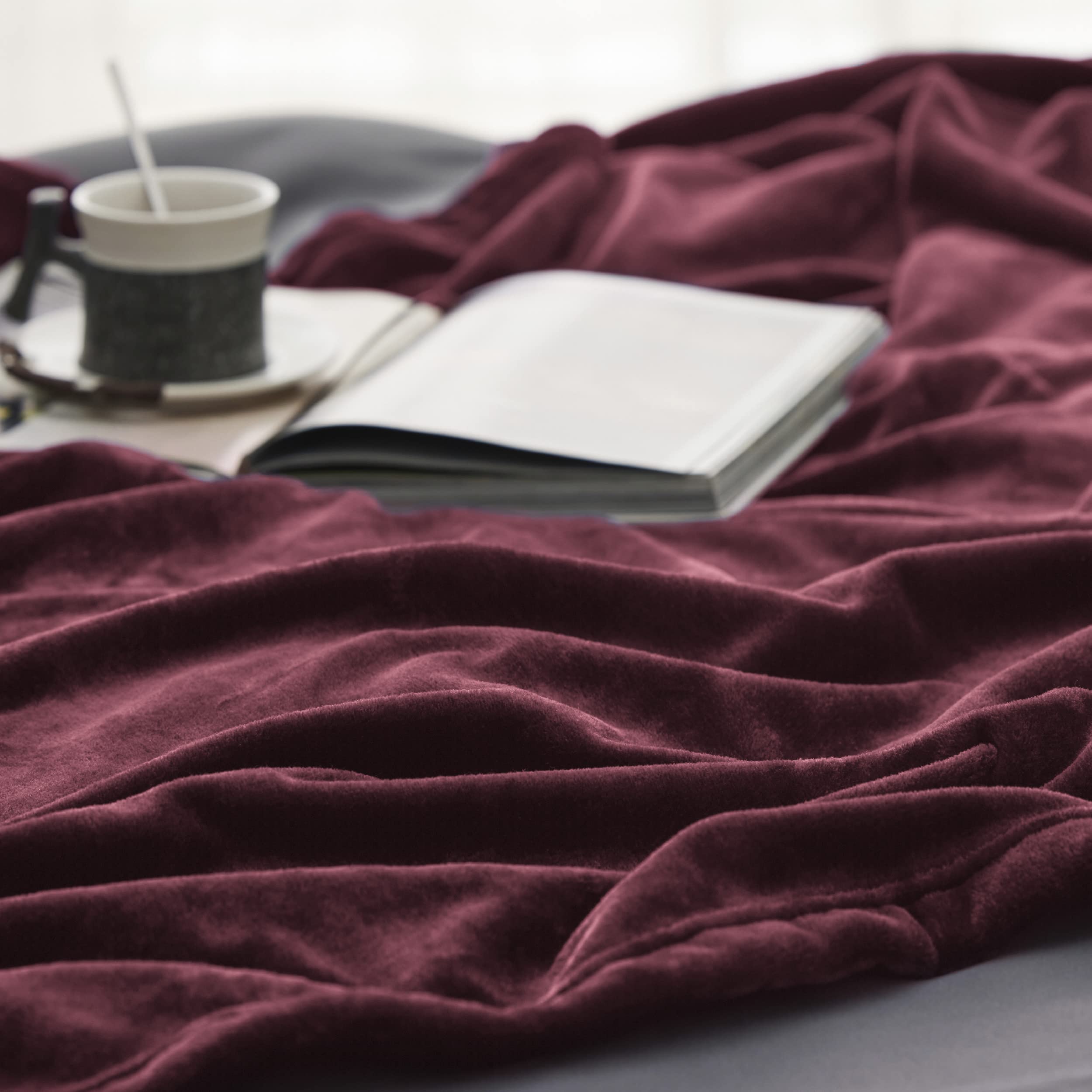 Bedsure GentleSoft Fleece Blanket Twin Size Red - 300GSM Lightweight Plush Fuzzy Cozy Soft Warm Blanket for Bed, Sofa, Couch, Travel, Camping, 60x80 inches