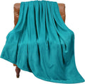 BEDELITE Fleece Blanket Soft Plush Throw for Couch Teal Blue 50"x60"