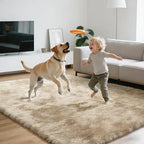 Shag Area Rugs for Bedroom Living Room,4X6 Ultra Soft Fluffy Area Rugs for Dorm, Indoor Carpet Nursery Rugs for Kids Room Home Decor,Camel