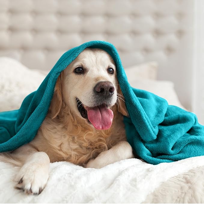 BEDELITE Fleece Blanket Soft Plush Throw for Couch Teal Blue 50"x60"
