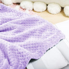 Exclusivo Mezcla Fleece Throw Blanket, Super Soft and Warm Blankets for Couch, Sofa and Bed Waffle Textured, Cozy, Fuzzy and Lightweight (Light Purple, 40x50 Inches)