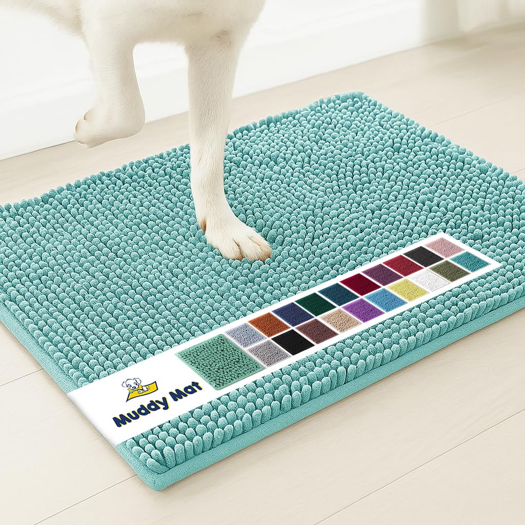 Muddy Mat® | Super Water Absorbent Door Mat Indoor, Microfiber Quick Dry Chenille Entryway Rug,Slip Resistant Front Door Mat,Indoor Mats for Entryway,Machine Washable Pet Rug, Seafoam Green 48"x72"