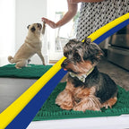 Muddy Mat® | Super Water Absorbent Door Mat Indoor, Microfiber Quick Dry Chenille Entryway Rug,Slip Resistant Front Door Mat,Indoor Mats for Entryway,Machine Washable Pet Rug, Dark Green 24" x 120"