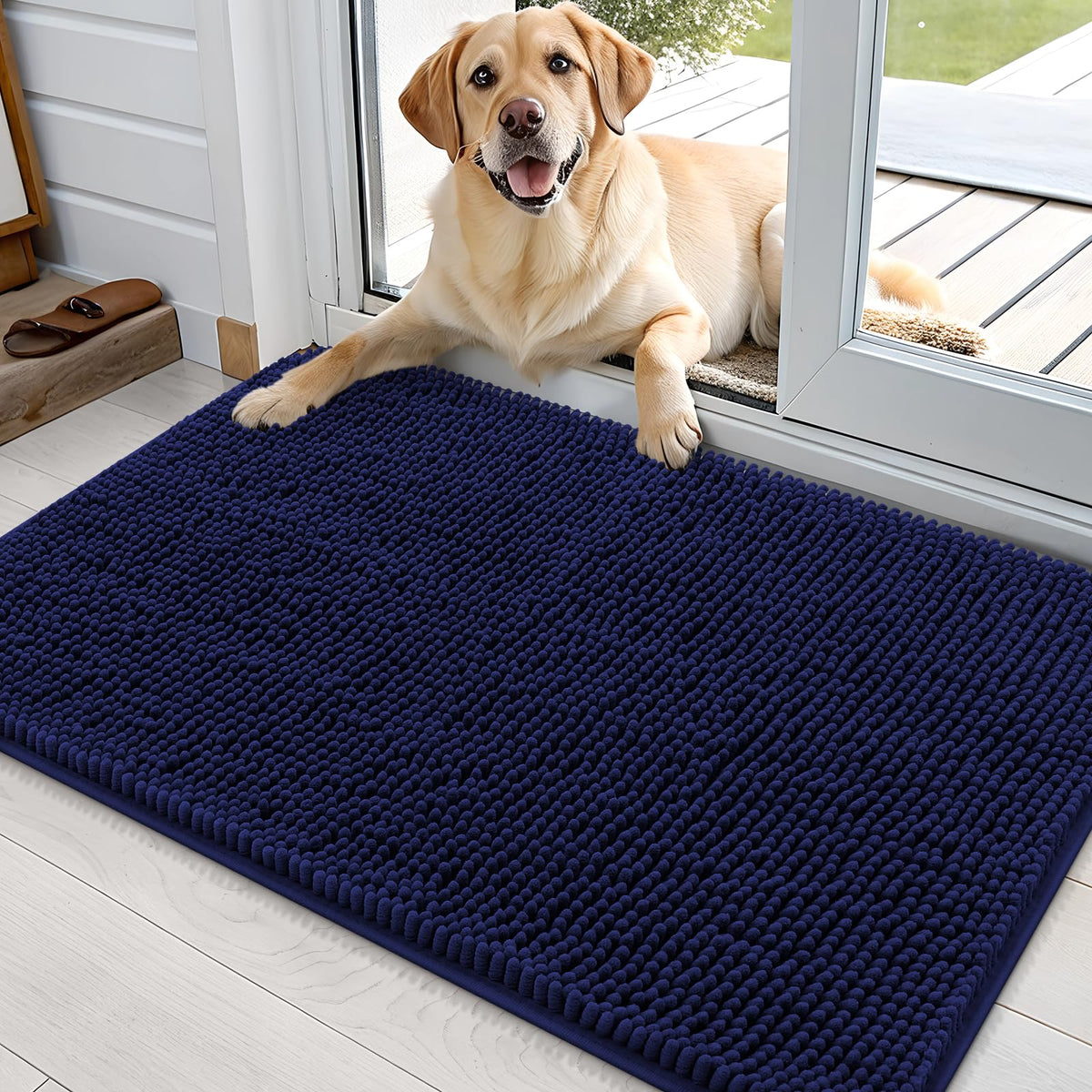 OLANLY Dog Door Mat for Muddy Paws 36x24, Super Absorbent Chenille Mud Mat