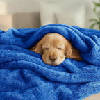 Exclusivo Mezcla Plush Fuzzy Fleece Bed Blanket Queen Size, Super Soft, Fluffy and Warm Blankets for Couch, Bed, All Season (Cobalt Blue, 90x90 inches)