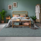 AROGAN 5x7 Area Rugs for Living Room Non Slip Bedroom Rug, Grey & Green