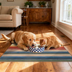 Othilic Front Door Mat Indoor Outside Entrance 2x3 Modern Ombre Rainbow Rug