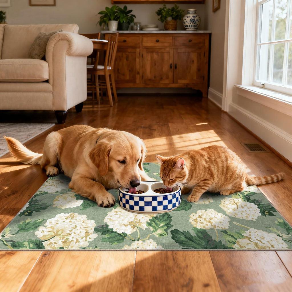 Othilic Front Door Mat Outside Entrance - 2x3 Sage Green Floral Entry Rug