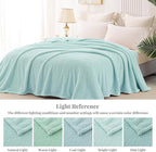 Whale Flotilla Extra Large Fuzzy Fleece Throw Blanket for Couch, 50x70 Inch Fluffy Warm Soft Jacquard Blankets for All Season, Lightweight and Cozy, Light Blue