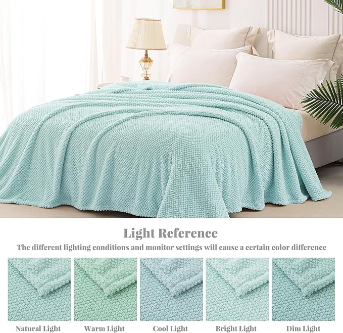 Whale Flotilla Queen Size Fuzzy Fleece Blanket for Bed, 90x90 Inch Fluffy Warm Soft Jacquard Blankets for All Season, Lightweight and Cozy, Light Blue