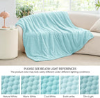 BEDELITE Cloud Blue Throw Blanket for Couch, Soft Gifts for Women, 50 * 60