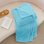 BEDELITE Light Blue Throw Blanket for Couch, Soft Gifts for Women, 50 * 60