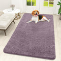 OLANLY Dog Door Mat for Muddy Paws 59x32, Super Absorbent Chenille Mud Mat