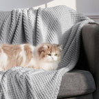 Whale Flotilla Extra Large Fuzzy Fleece Throw Blanket for Couch, 50x70 Inch Fluffy Warm Soft Jacquard Blankets for All Season, Lightweight and Cozy, Light Grey