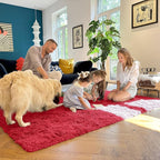 OLANLY 5x7 Machine Washable Large Area Rugs for Living Room, Bedroom, Soft Fluffy Shaggy Bedside Rug, Indoor Floor Carpet for Kids Girls and Boys, Dorms, Nursery, Home Decor Aesthetic, Red