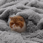 Bedsure GentleSoft Fluffy Grey Throw Blanket, Grey Decor Cozy Gifts for Women Men, Soft Sherpa Fleece Fuzzy Plush Thick Warm Faux Fur Throw Blanket for Couch Bed Sofa, Gray Gifts, 50x60