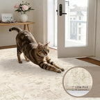 6x9 Area Rugs for Living Room: Vintage Boho Neutral Washable Rug Indoor Soft Large Area Rug Carpet for Bedroom Nursery Farmhouse Dining Room Office Floor Non-Slip Low Pile Under Table Rug Beige/Brown