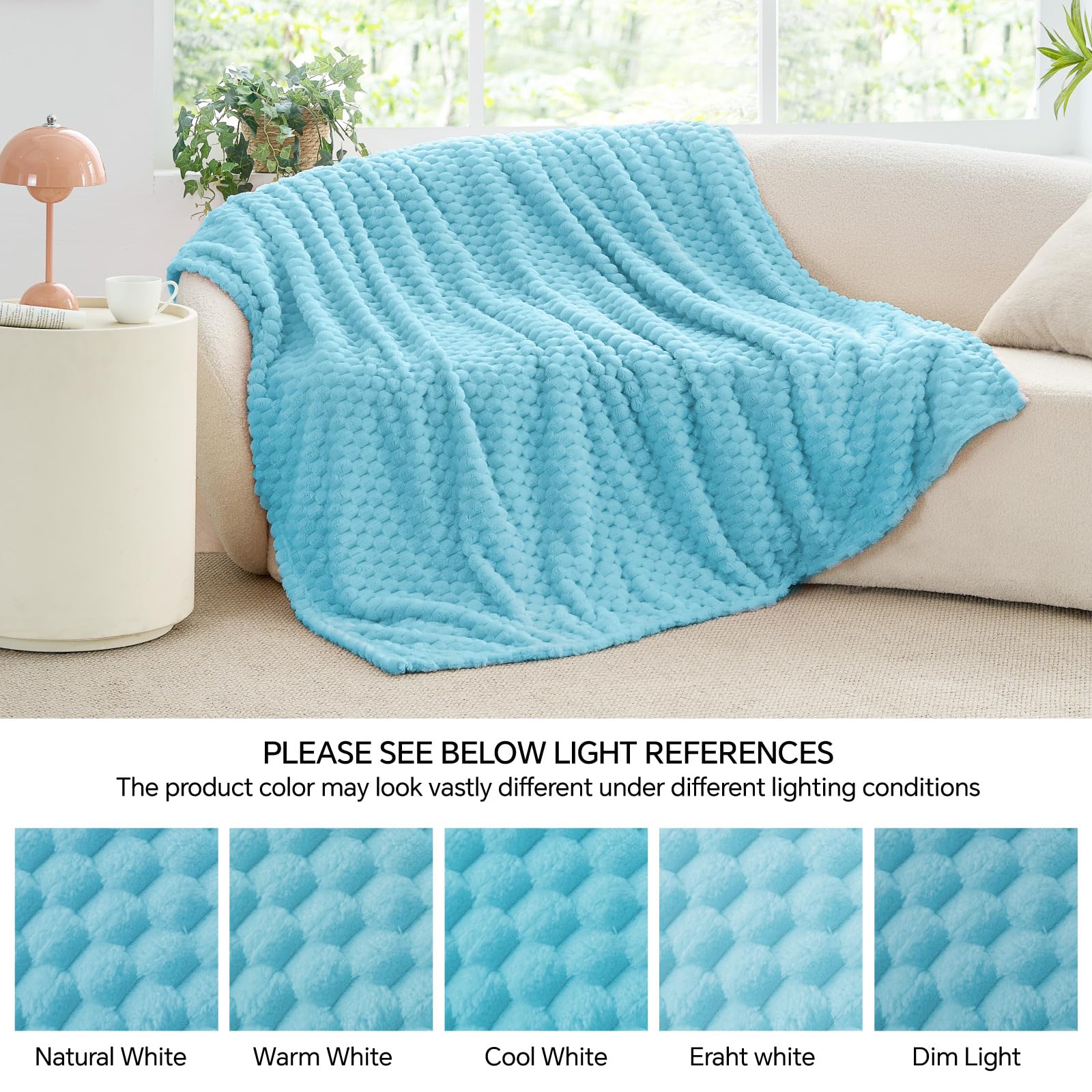 BEDELITE Light Blue Throw Blanket for Couch, Soft Gifts for Women, 50 * 60