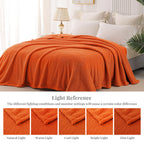 Whale Flotilla Soft Fleece Twin Size Bed Blanket, Burnt Orange
